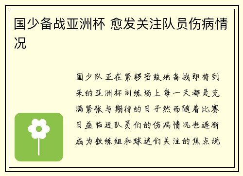 国少备战亚洲杯 愈发关注队员伤病情况